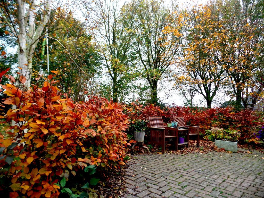 Bed En Breakfast De Pauw Wieringerwaard Bagian luar foto
