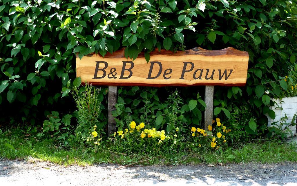 Bed En Breakfast De Pauw Wieringerwaard Ruang foto