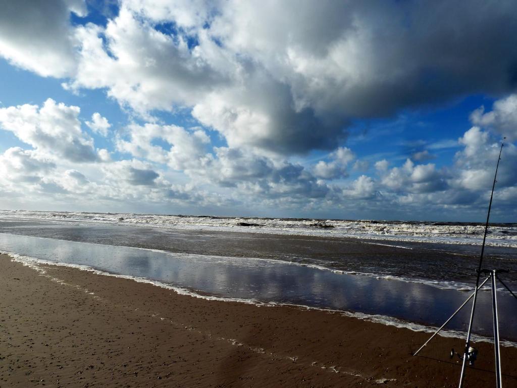 Bed En Breakfast De Pauw Wieringerwaard Bagian luar foto
