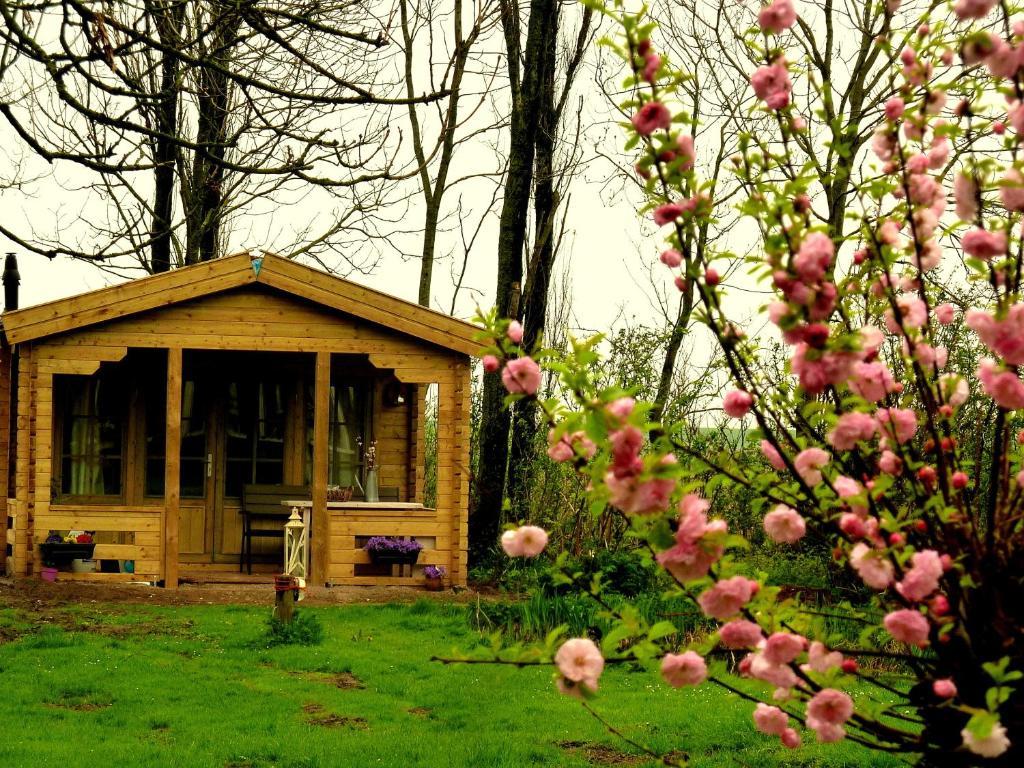 Bed En Breakfast De Pauw Wieringerwaard Ruang foto